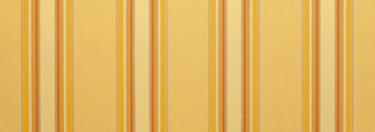7467-chicago.jpg