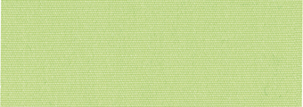 7557-menthe.jpg