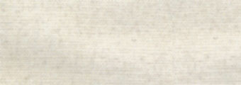 8016-ramier.jpg