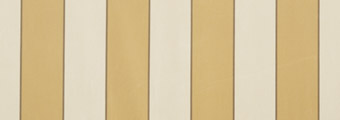 8210-sienne.jpg
