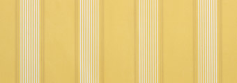 8220-florence.jpg