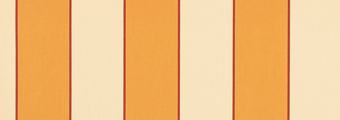 8839-sienne.jpg