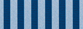 8909-bleu-bleu.jpg