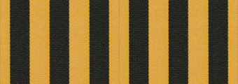 8930-faro.jpg