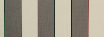8931-sienne.jpg